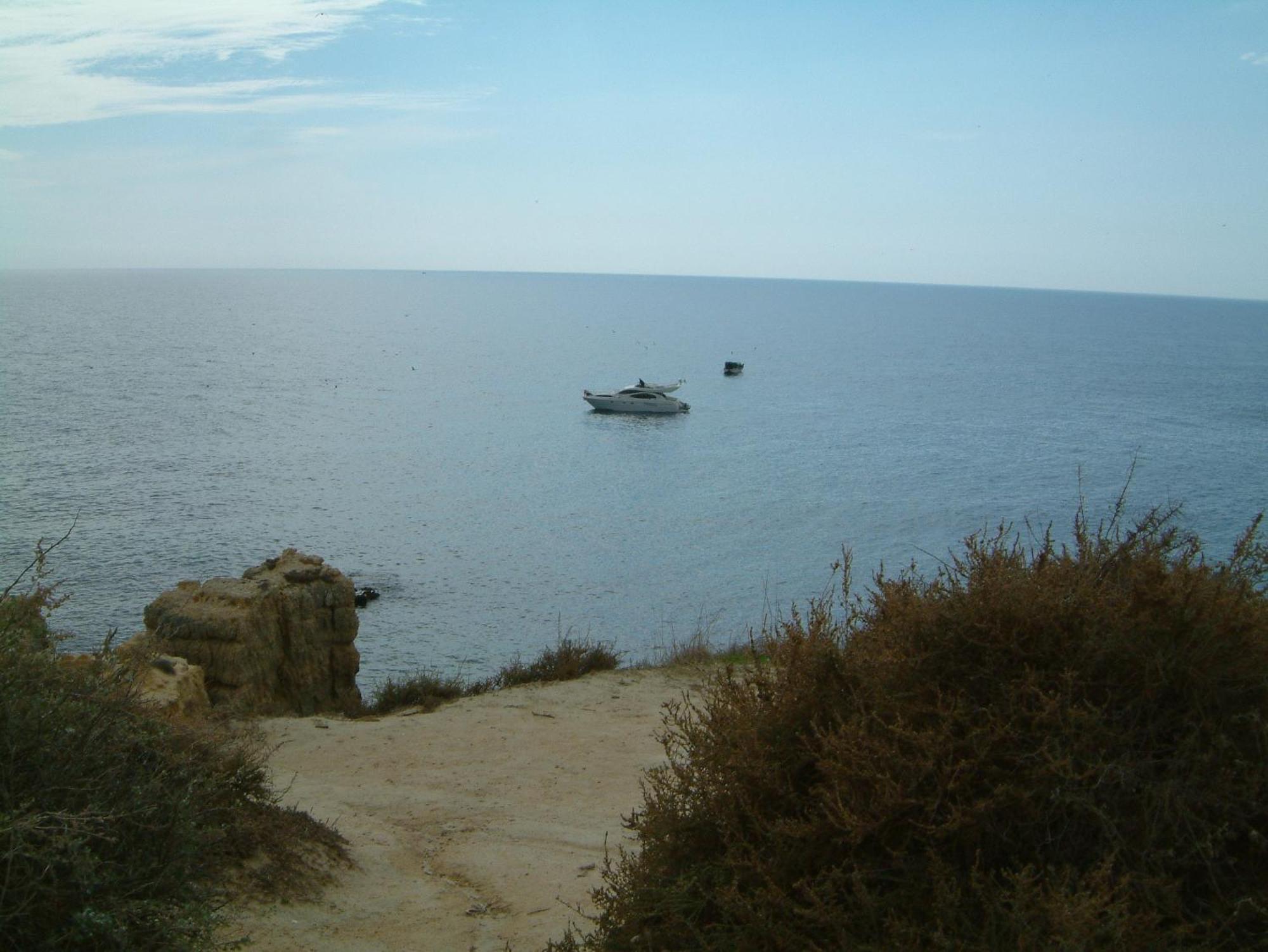 מלון אלבופיירה Torre Velha Al מראה חיצוני תמונה