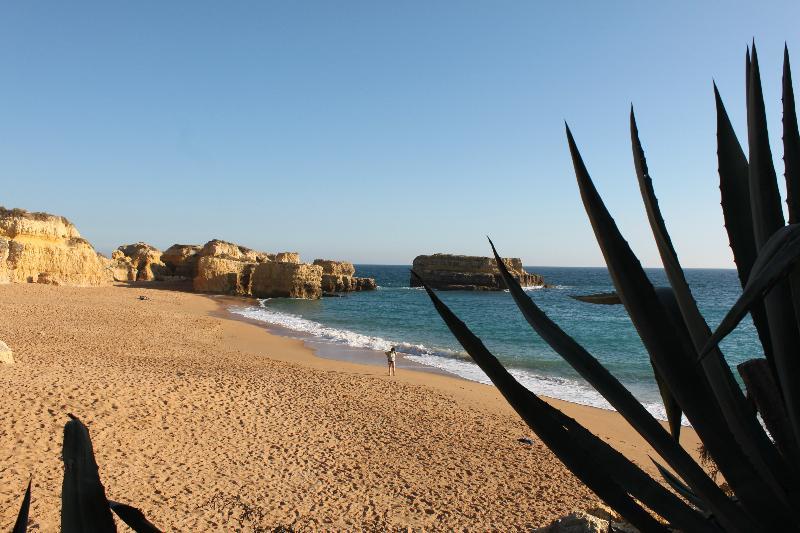 מלון אלבופיירה Torre Velha Al מראה חיצוני תמונה
